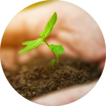  Pour l'Environnement